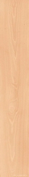 Log Cansei Rialto ZZ 18.5x150