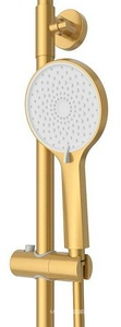 Смеситель для ванны, со стационарным верхним душем d22см., шланг, лейка, кронштейн в компл., (цв.брашированное золото),  ZZ Cezares Stylus STYLUS-CVD-BORO