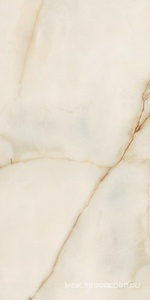 Керамогранит для пола и стены FMAX FMAX Cameo glossy 90x180 F918G10121