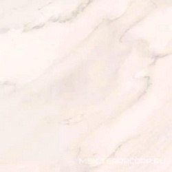 Genus GNSG 60W RM (п.п.) |60x60