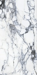 Elizabeth 75x150