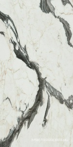 Керамогранит для пола и стены Florim Les Bijoux De Rex Bijoux Calacata Altissimo Blanc Glossy 60x120 766330