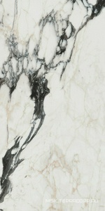 Керамогранит для пола и стены Florim Les Bijoux De Rex Bijoux Calacata Altissimo Blanc Glossy 60x120 766330