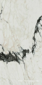 Керамогранит для пола и стены Florim Les Bijoux De Rex Bijoux Calacata Altissimo Blanc Glossy 60x120 766330