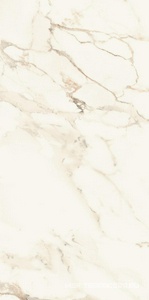 Керамогранит для пола и стены La Faenza Aesthetica AE CAP6 12 RM 60x120 182612