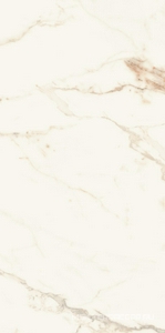 Керамогранит для пола и стены La Faenza Aesthetica AE CAP6 12 RM 60x120 182612