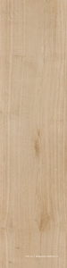 Керамогранит для пола Sant Agostino primewood  Honey 30120 ( п.п.) 30x120 Бежевый CSAPRWHO30
