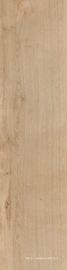 Керамогранит для пола Sant Agostino primewood  Honey 30120 ( п.п.) 30x120 Бежевый CSAPRWHO30