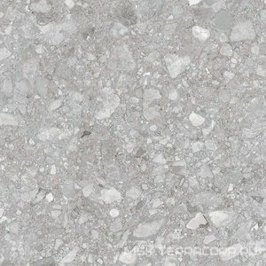 Керамогранит для пола и стены Zerde Palladino  light grey 60x60 00000005576