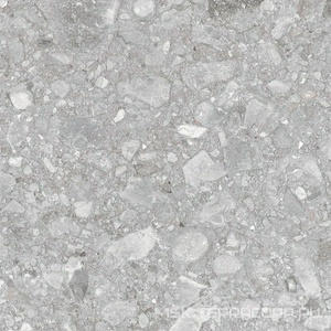 Керамогранит для пола и стены Zerde Palladino  light grey 60x60 00000005576