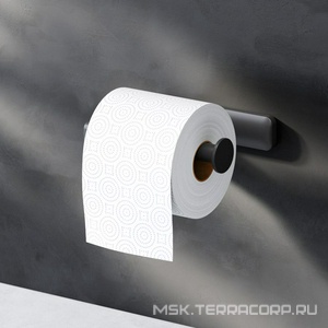Держатель для туалетной бумаги AM.PM Inspire 2.0 A50A34122, цвет черный ZZ AMPM Sense L A50A34122