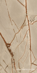 Керамогранит для пола и стены Florim Nature Mood Rainforest Glossy 60x120 775101