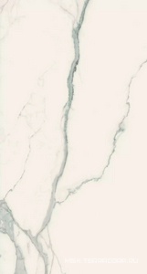 Керамогранит для стены Florim Magnum I Classici di Rex Statuario Soft  120x240 746598