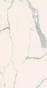 Керамогранит для стены Florim Magnum I Classici di Rex Statuario Soft  120x240 746598