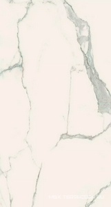 Керамогранит для стены Florim Magnum I Classici di Rex Statuario Soft  120x240 746598