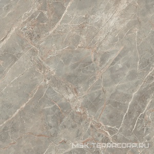 Керамогранит для пола и стены Florim Magnum Etoile De Rex Etoile Gris Glossy 120x120 761750