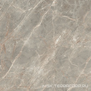 Керамогранит для пола и стены Florim Magnum Etoile De Rex Etoile Gris Glossy 120x120 761750