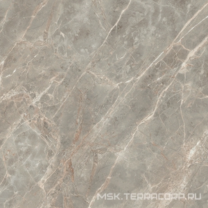 Керамогранит для пола и стены Florim Magnum Etoile De Rex Etoile Gris Glossy 120x120 761750