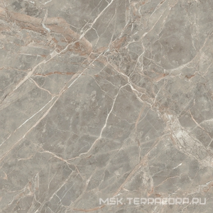 Керамогранит для пола и стены Florim Magnum Etoile De Rex Etoile Gris Glossy 120x120 761750
