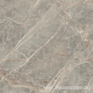 Керамогранит для пола и стены Florim Magnum Etoile De Rex Etoile Gris Glossy 120x120 761750