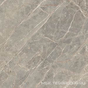 Керамогранит для пола и стены Florim Magnum Etoile De Rex Etoile Gris Glossy 120x120 761750