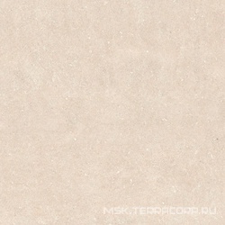 Rinascenza Arena Bianco Antico Matte R10 B 120x120