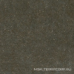 Rinascenza Arena Platino Matte R10 B 120x120