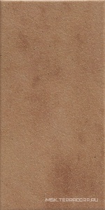 Керамогранит для пола Domus Linea strade romane Klinker Appia 13x26 Коричневый DKK13AP