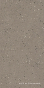Керамогранит для пола и стены Ametis Астеро  RO02  серый непол. рект. 60x120 ZZ 73588