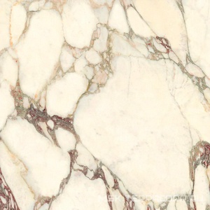 Керамогранит для пола и стены Ariostea Ultra Marmi Calacatta Viola Natural (R9) 75x75 UM6S75671