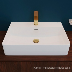 Донный клапан для сливного отверсия раковин/биде с переливом и без перелива, Push-Open, G 1 1/4, (крышка слива пластик цв.шлифованное золото),  Aqueduto RALO RAL0250