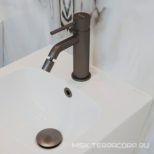 Донный клапан для сливного отверсия раковин/биде с переливом и без перелива, Push-Open, G 1 1/4, (крышка слива пластик цв.оружейная сталь),  Aqueduto RALO RAL0245