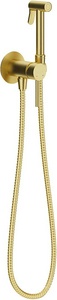 Смеситель совмещённый с гигиеническим душем, готовый комплект: лейка, шланг, скрытая часть, (цв.шлифованное золото),  Aqueduto PUREZA PUR0250