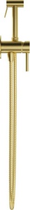 Смеситель совмещённый с гигиеническим душем, готовый комплект: лейка, шланг, скрытая часть, (цв.шлифованное золото),  Aqueduto PUREZA PUR0250
