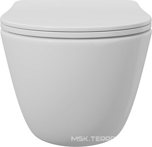 Унитаз подвесной 525х360мм, безободковый, смыв Tornado, сиденье с микролифтом, крепёж в компл., (цв.белый глянец), Ovo Aqueduto Ovo Tornado OVOT2110