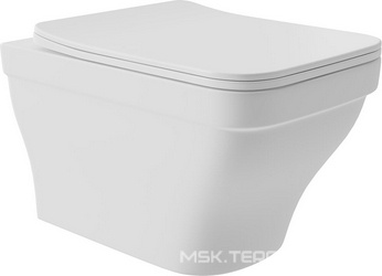 Унитаз подвесной 520х365мм, безободковый, сиденье с микролифтом, крепёж в компл., (цв.белый матовый),  ZZ Aqueduto ESTETA EST0120