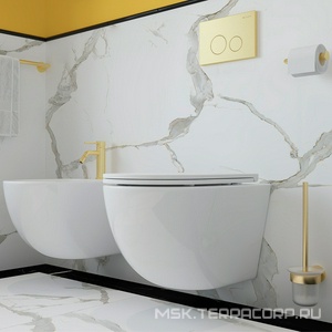 Клавиша двойного смыва для инстал., д/унитаза, (пластик цв.шлифованное золото),  Aqueduto Circulo CIR0250