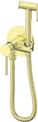 Смеситель совмещённый с гигиеническим душем, готовый комплект: лейка, шланг, скрытая часть, (цв.матовое золото),  ZZ Oliveeka Y-LINE OL-829902-BG