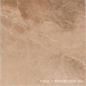Керамогранит для пола и стены ProGRES Ceramica Магма  темно-коричневый 60х60 GSR0068