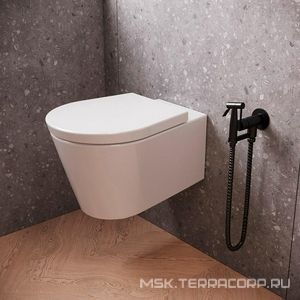 Смеситель совмещён. с гигиеническим душем, (готовый комплект: лейка пластик, шланг 100см.,скрытая часть), (цв.черный матовый PVD),  ZZ Paini Imola ISPZ442