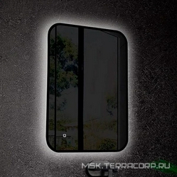 Зеркало 550х800мм, реверсивное, с подсветкой, сенсорный выкл., кромка цв.черный глянец,  ZZ Art & Max Siena S AM-SieS-550-800-DS-F