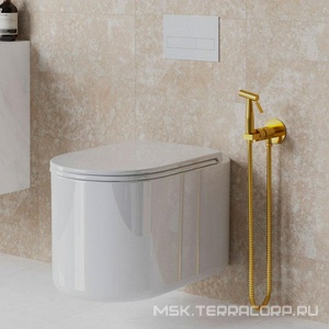 Смеситель совмещён. с гигиеническим душем, (готовый комплект: лейка, шланг, скрытая часть), (цв.браш. золото PVD),  Round ZZ Paini Castello CAPJ442R