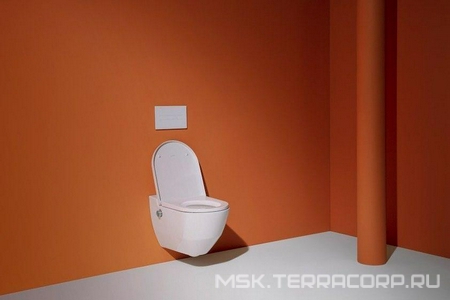 Унитаз-биде подвесной 580х370х380мм, безободк, сиденье микролифт, крепёж в компл., (цв.белый с LCC), Cleanet Navia ZZ Laufen Riva 8.2060.1.400.000.1