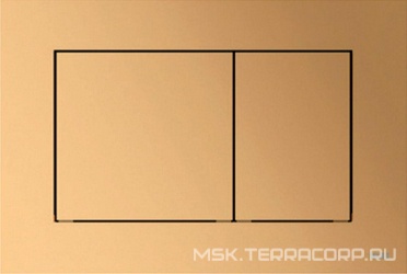 Панель смыва с двумя клавишами (пластик цв. латунь металлик), TECEnow ZZ