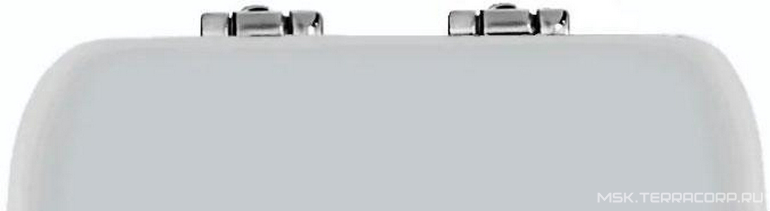 ЗАПЧАСТЬ Петли (комплект 2шт.) для сиденья, для унитаза, с микролифтом, для арт. 5391 cr, (цв.хром),  ZZ Kerasan Nolita R108A18 -шарниры для 5391 cr