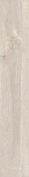Керамогранит для пола и стены Ametis Daintree  DA01 light beige неполир.19.4x120 34643