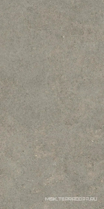 Керамогранит для пола и стены AtlasConcorde Россия Forte dei Marmi Rock FDMR Lunar Gr. Rett 60x120/ФДМP Лунар Гр. Рет 60x120 610010005821