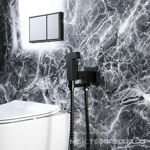 Смеситель совмещён. с гигиеническим душем, (готовый комплект: лейка, шланг, скрытая часть), (цв.черый браш.PVD),  ZZ Paini Bella BLPZ442