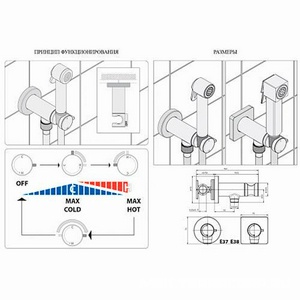 Смеситель совмещённый с гигиеническим душем, (готовый комплект: лейка металл, шланг 125см., скрытая часть), (цв.белый матовый),  ZZ Bossini Paloma Brass E37007B.045