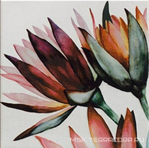 Керамическая плитка для стены Mainzu Tikida Decor   ZZ 20х20 n163677